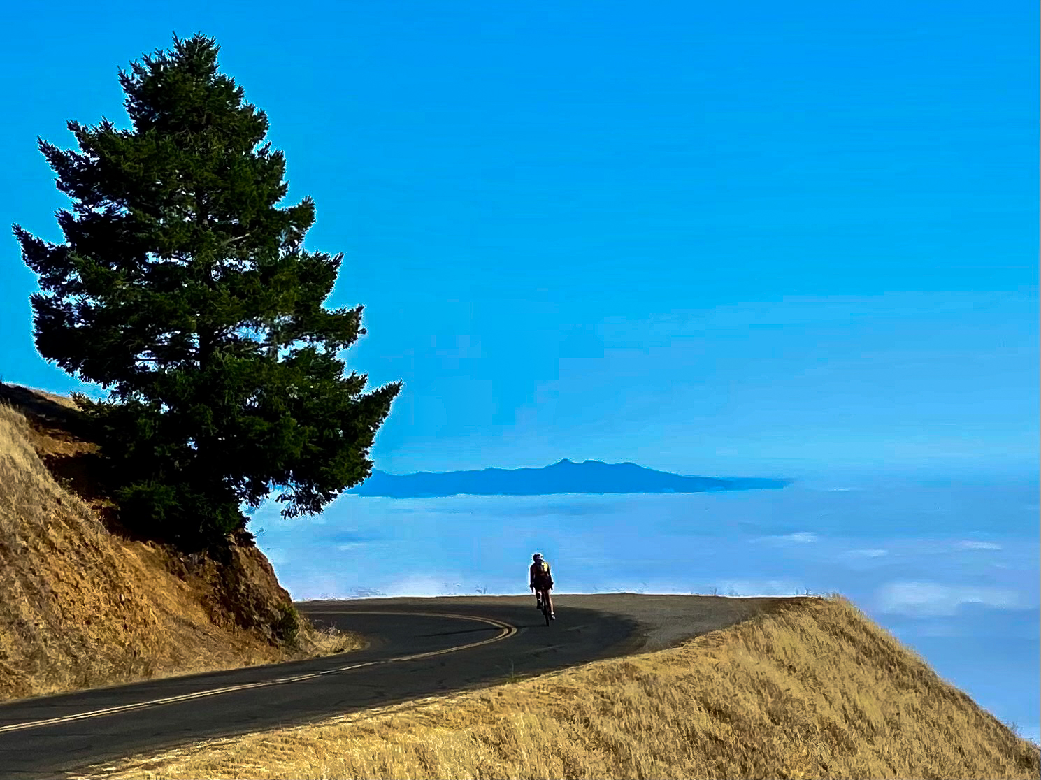 44_Into_the_Clouds_of_ Mt._Tamalpais.jpg